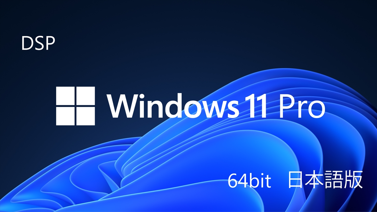 Windows 11 Pro 64bit 日本語 DSP版 + バルクメモリ ☆1個まで￥300
