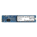 SNV3510-400G M.2 22110 NVMe SSD 400GB Enterprise Grade Endurance