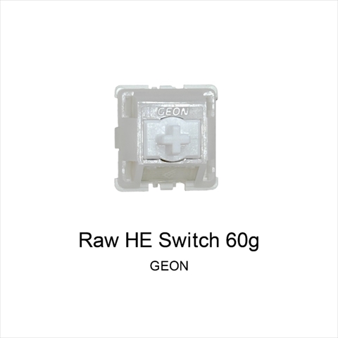 GEON Raw HE Switch 60g 1個 ☆40個まで￥250クリックポスト対応可能！