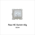 【35個】 GEON Raw HE Switch 40g GN-RWHE-40g-35